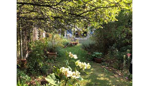 lovely garden