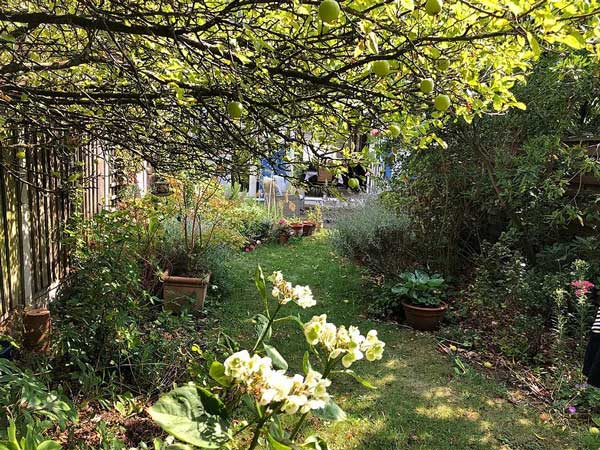 Cutting Back Your Garden | Garden Maintenance