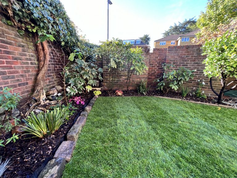 plants in garden