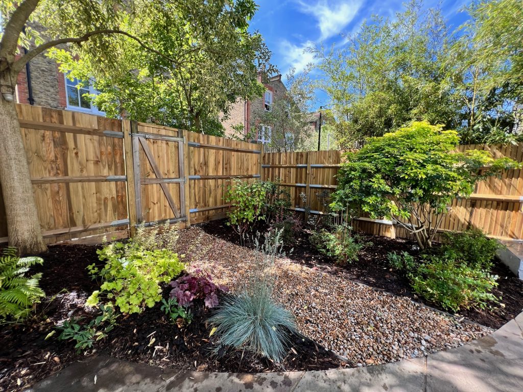 garden revamp after shot
